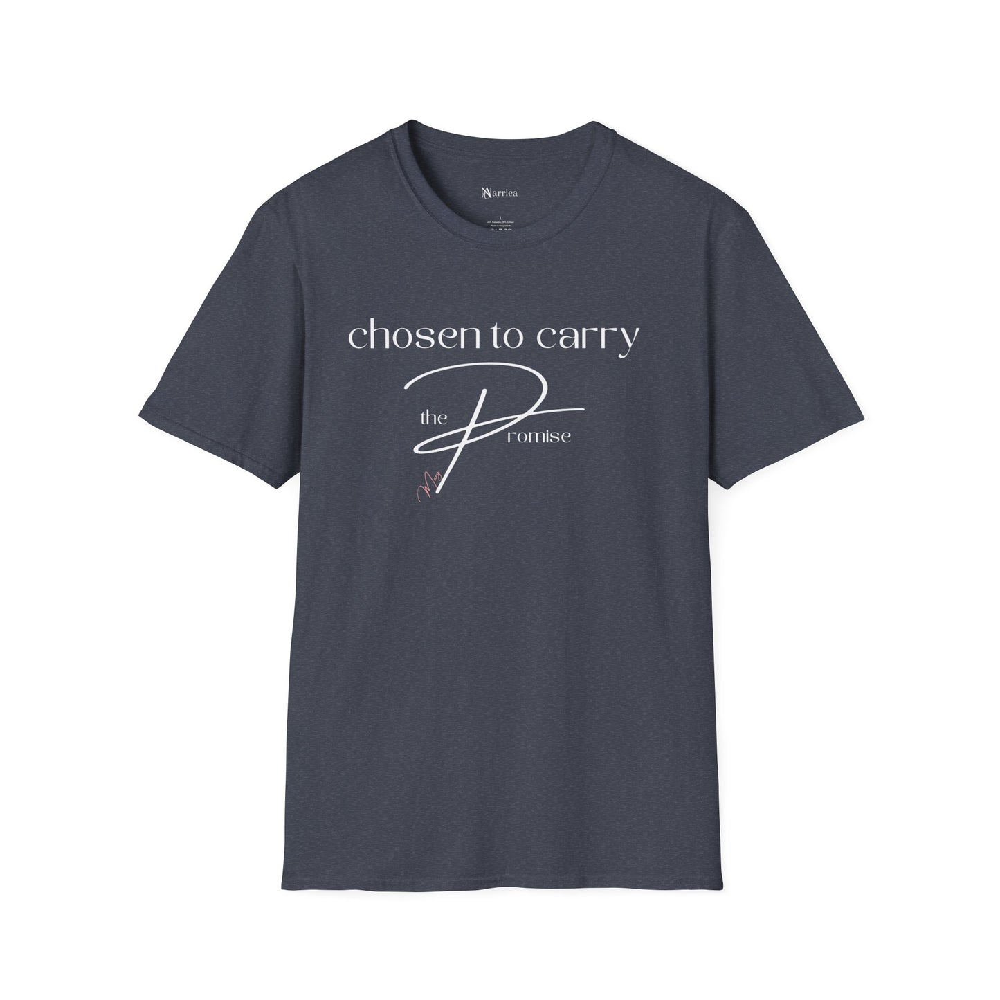 Mary: Chosen to Carry the Promise
