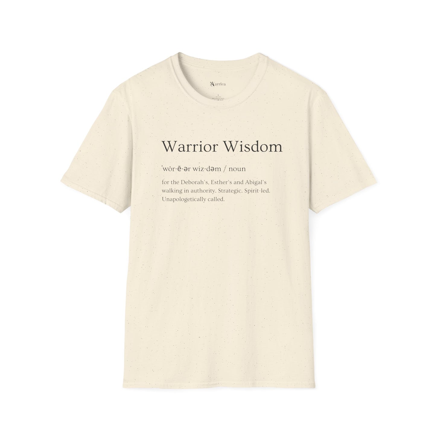 Warrior Wisdom for the Deborah's, Esther's & Abigail's Walking in Authority