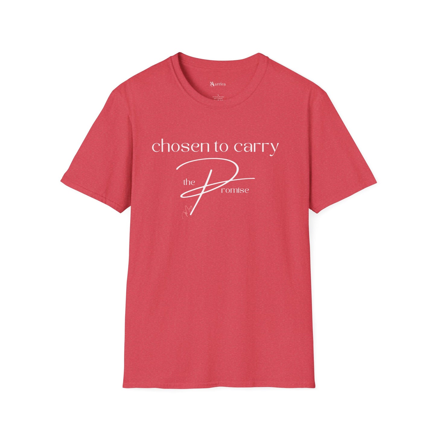 Mary: Chosen to Carry the Promise