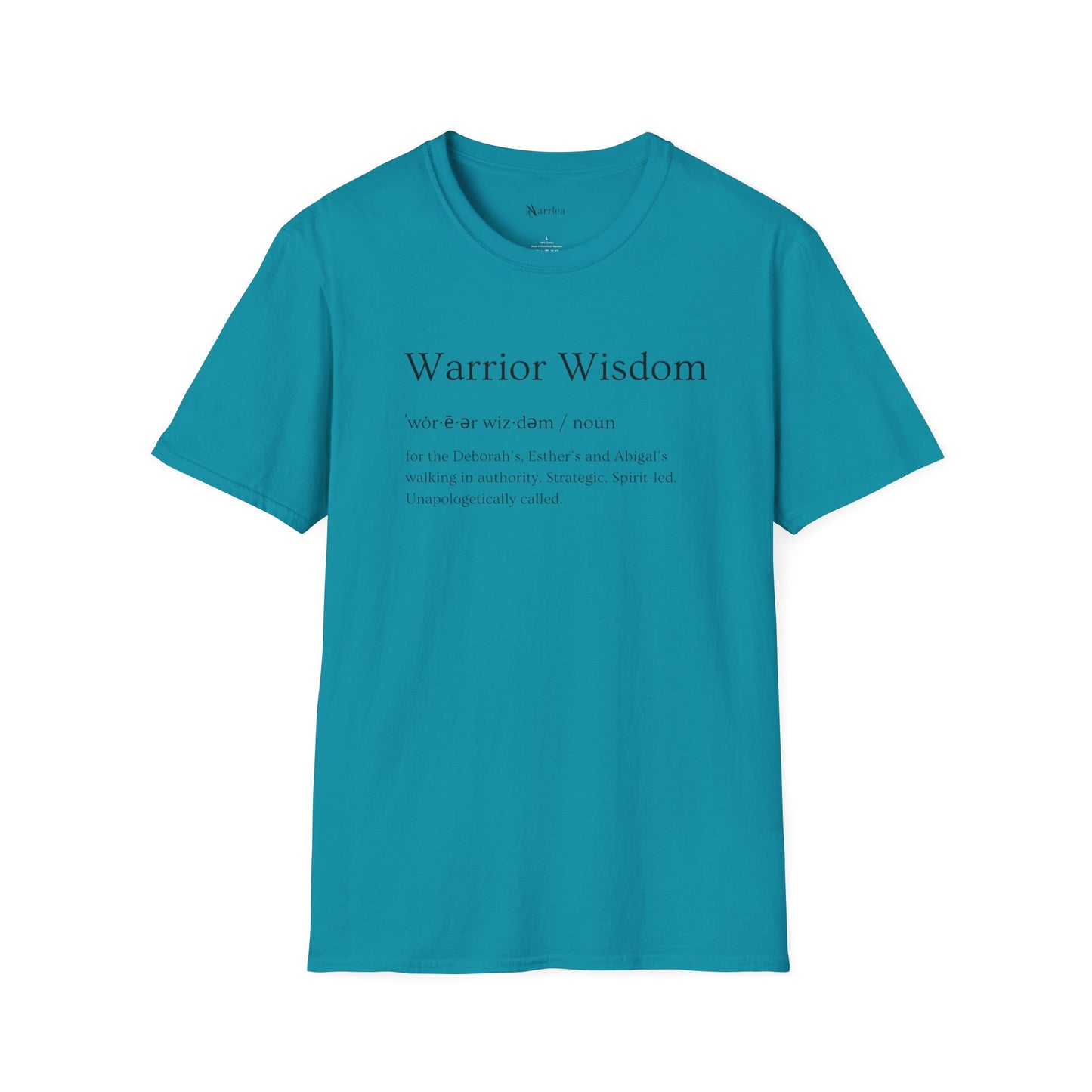 Warrior Wisdom for the Deborah's, Esther's & Abigail's Walking in Authority