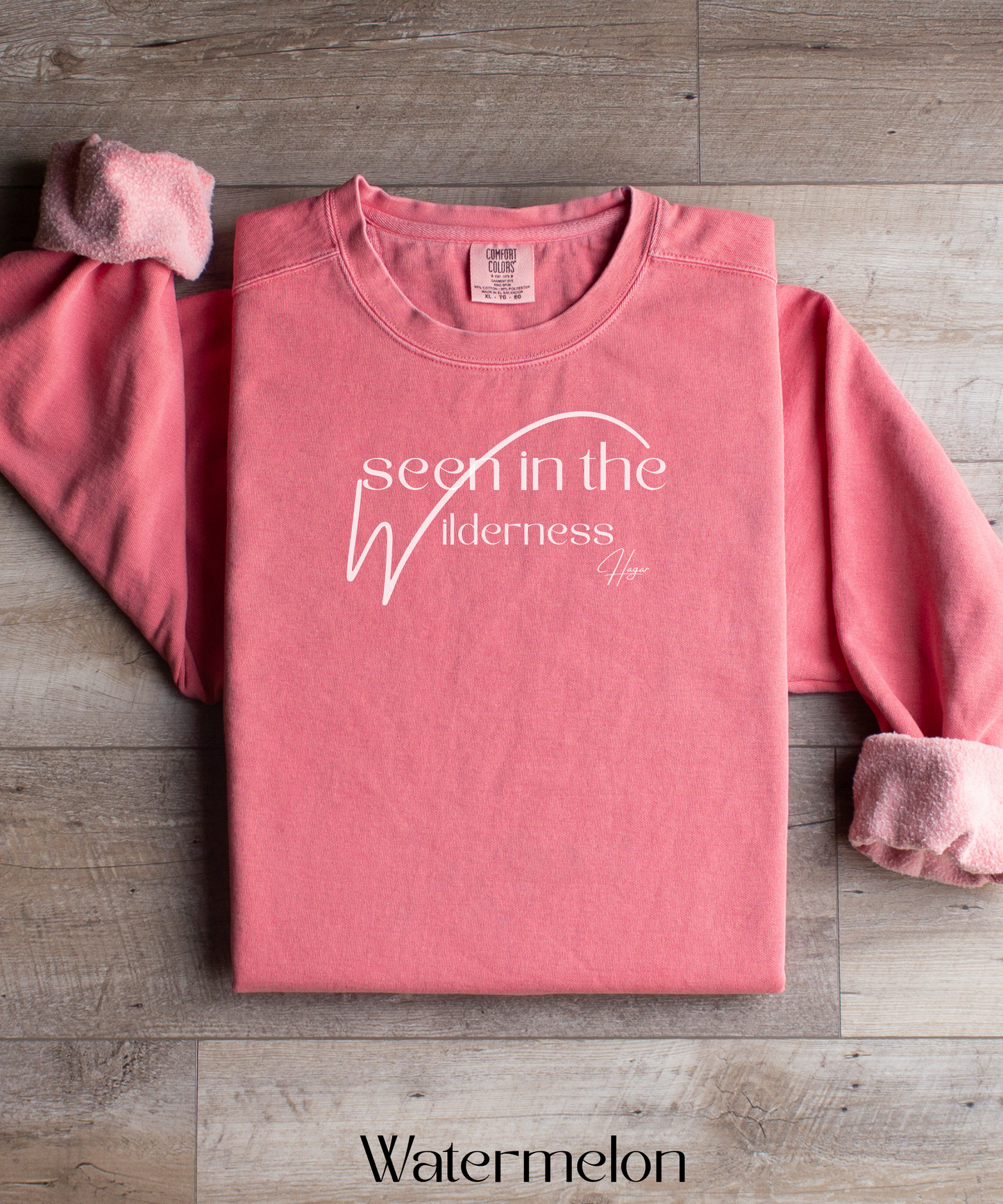 Hagar: Seen in the Wilderness Crewneck Sweatshirt